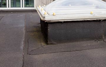 disadvantages of Dalmeny flat roofs