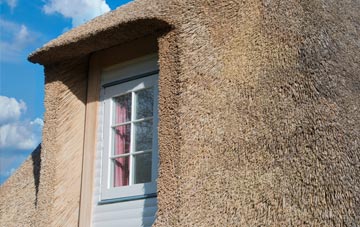 Dalmeny thatch roof disadvantages