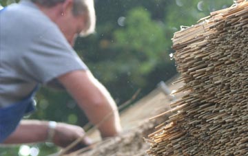 professional Dalmeny thatchers