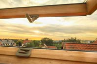 rated Dalmeny roof window companies